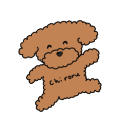 toy poodle ciroru