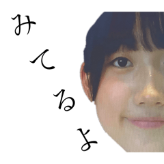 shark_20241001161022