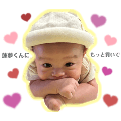 renren_20241001202528