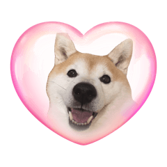 Yuchudayooo