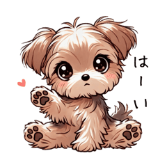 Azatoi_Yorkshire Terrier