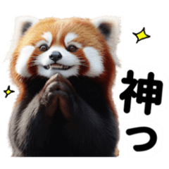 red panda meme