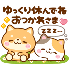 mameshiba nyanko sticker