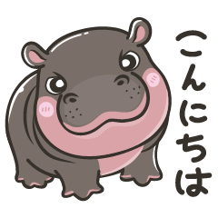 Deang Pygmy Hippo 1-JP