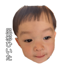 39_20241002081539