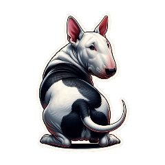 [For arrangement] bull terrier cute