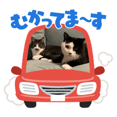 TOM MAMA_20241001232431