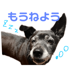 omo_20241002005701