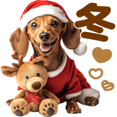 BIG winter wanko dog Dachshund