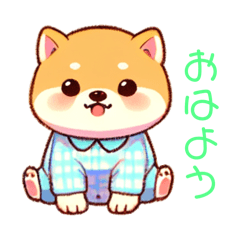 Baby Cute Cute ShibaInu