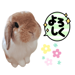 Rabbit-Urara's Sticker