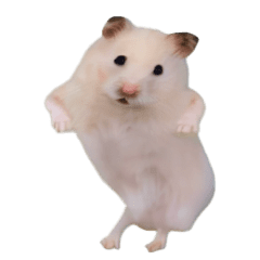 Dancing White Hamster (Revised)