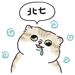 Oba cat21 - light cream tabby cat