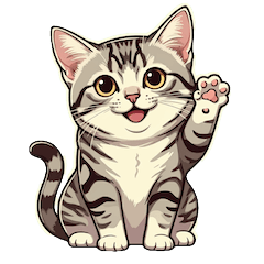 Everyday American Shorthair