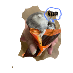 懶倉鼠