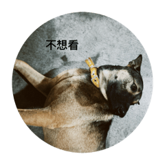 1111yi