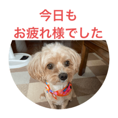 M's yuzu and ame_20241002180445