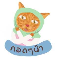 "Ade Som" : The kind orange cat