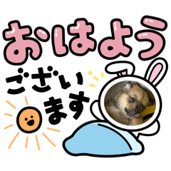 dog_mugi