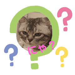 KohaDA_20241002180921