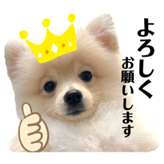 sayuri_20241003140137