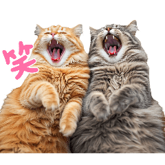 Yawning cat Wear with the store's heart