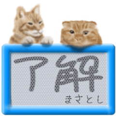 「まさとし」リアルふわ猫でか文字日常