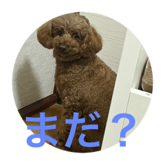 Makimaru_20241003145315