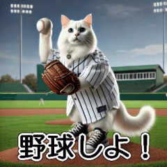 White Cat Baseball