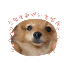 mmm3_20241003202827