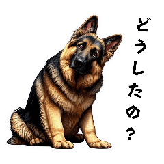 German shepherd feelings