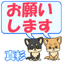 真杉「ますぎ」用でか文字チワワ２