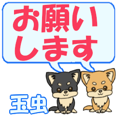 玉虫「たまむし」用でか文字チワワ２