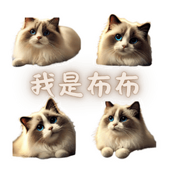 Ragdoll cat cute stickers