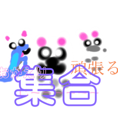 両親ニャーコとニャーコ
