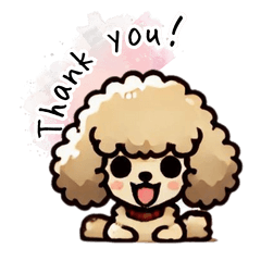 Dog series toy poodle daily greetings