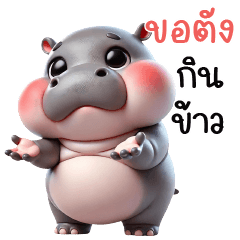 Moo Ping, cute chubby hippo