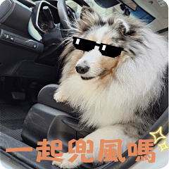 雙卡雙呆 歡樂無限-第一彈