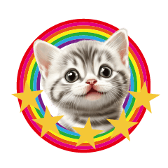 Scottish fold cute kitty stickers