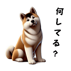 Akita dog feelings