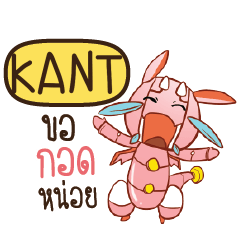 KANT Dragie a cyborg who cute e