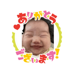 Tanuki_20241004152042