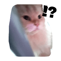 Ohrosie posie