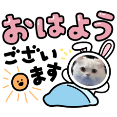 sharon_20241004224235