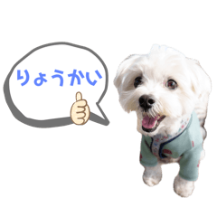 KuuSoraUta_20241004220131