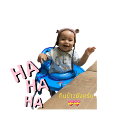 Shark_20241005094404