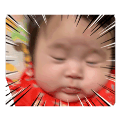 わたちの日常です①