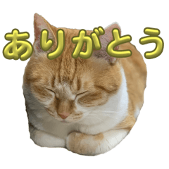 kj_20241005182537