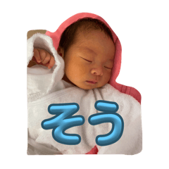 TERAYUKI_20241005183857