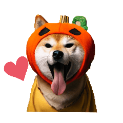 HALLOWEEN SHIBA